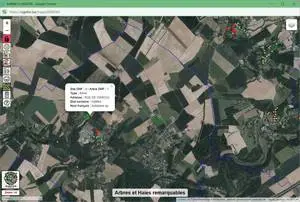 Image 10