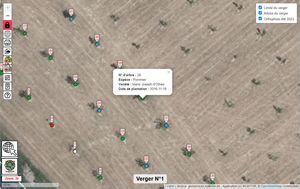 Image 12