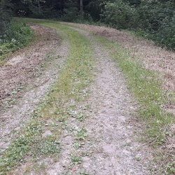 Sites
