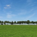 Plantation naissances 22-09-2022