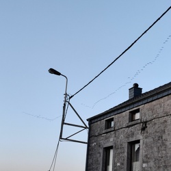 Ornithologie
