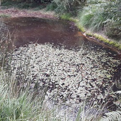 Hydrologie