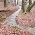 5392 eaux vives Saint Roch 07-02-2021 11 1632x1224