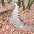5385 eaux vives Saint Roch 07-02-2021 04 1224x1632