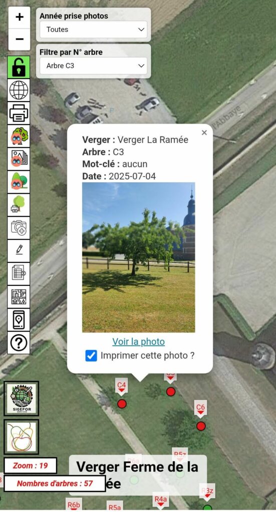 application gestion patrimoine arboré